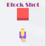 Block Shot